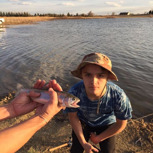 Meet your Posher, Nannette - Picture 1 of 1